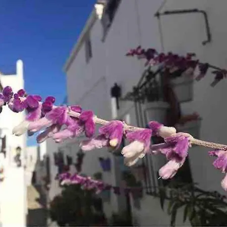 Casa Arena Y Sal En Pleno Casco Antiguo De Vejer * Vejer de la Frontera
